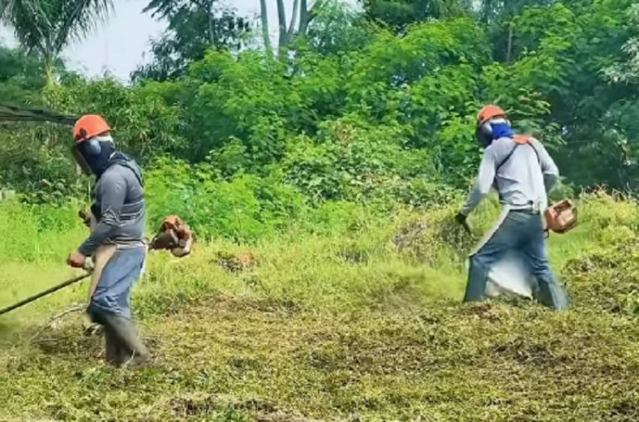 Prefeitura de Dois Vizinhos inicia limpeza de terrenos e aplica multas a proprietários