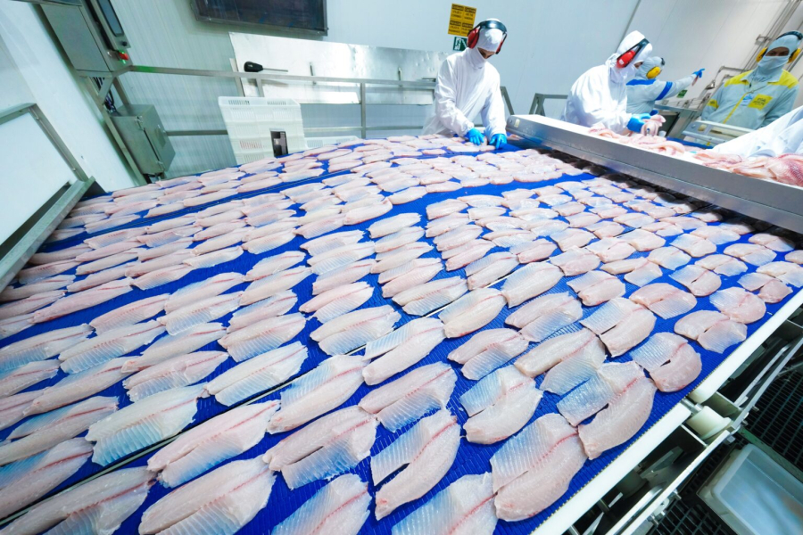 Comitiva do Paraguai visita Oeste do Paraná para conhecer cadeia produtiva da tilápia