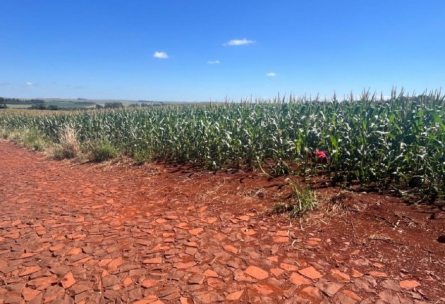 Homem é encontrado morto em loteamento de São Miguel do Iguaçu