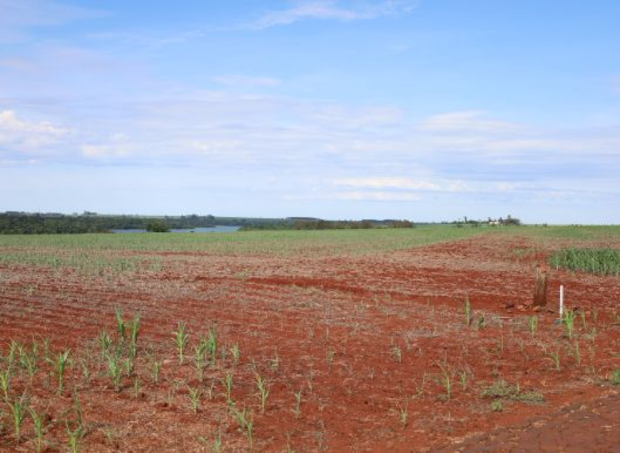 Governo Federal reconhece situação de emergência por estiagem em Missal